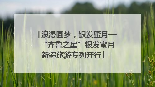 浪漫圆梦，银发蜜月——“齐鲁之星”银发蜜月新疆旅游专列开行