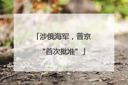 涉俄海军，普京“首次批准”