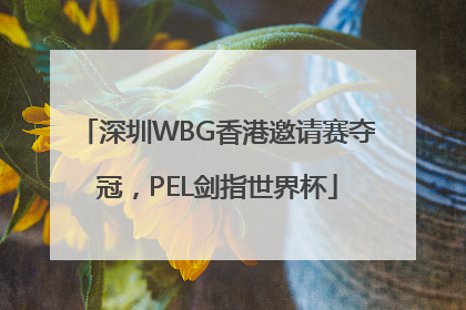 深圳WBG香港邀请赛夺冠，PEL剑指世界杯