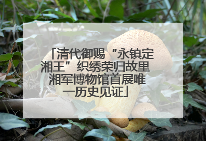清代御赐“永镇定湘王”织绣荣归故里 湘军博物馆首展唯一历史见证