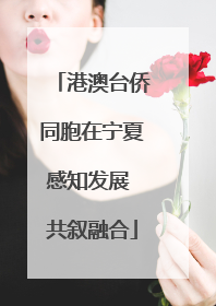 港澳台侨同胞在宁夏感知发展 共叙融合