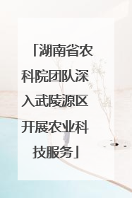 湖南省农科院团队深入武陵源区开展农业科技服务