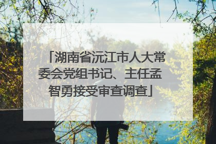 湖南省沅江市人大常委会党组书记、主任孟智勇接受审查调查