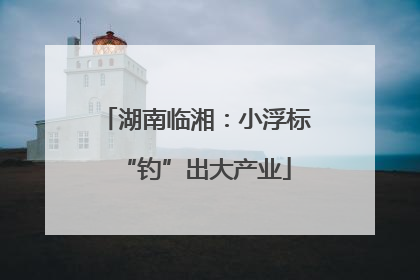 湖南临湘：小浮标“钓”出大产业