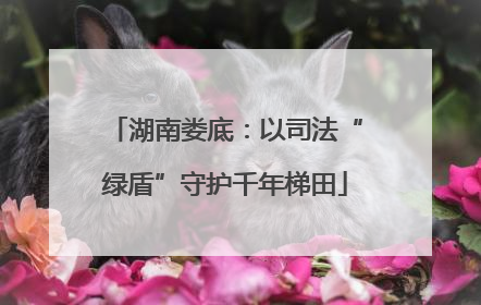 湖南娄底：以司法“绿盾”守护千年梯田