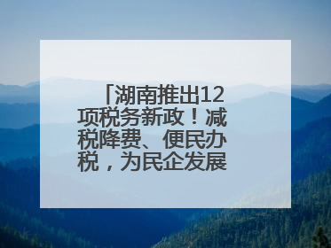 湖南推出12项税务新政！减税降费、便民办税，为民企发展“减负加油”