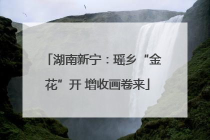 湖南新宁：瑶乡“金花”开 增收画卷来