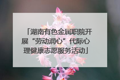 湖南有色金属职院开展“劳动润心”代际心理健康志愿服务活动
