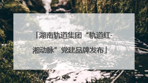 湖南轨道集团“轨道红·湘动脉”党建品牌发布