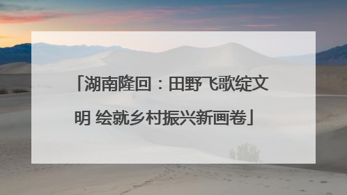 湖南隆回：田野飞歌绽文明 绘就乡村振兴新画卷