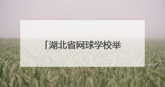 湖北省网球学校举办2025年校园开放日系列活动