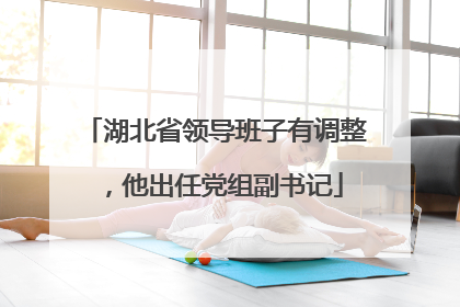 湖北省领导班子有调整，他出任党组副书记