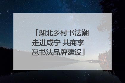 湖北乡村书法潮走进咸宁 共商李邕书法品牌建设