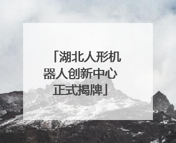 湖北人形机器人创新中心正式揭牌