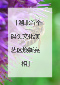 湖北首个码头文化演艺区焕新亮相