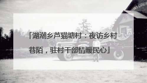 湖潮乡芦猫塘村：夜访乡村巷陌，驻村干部情暖民心