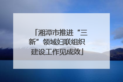 湘潭市推进“三新”领域妇联组织建设工作见成效