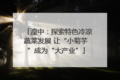 湟中：探索特色冷凉蔬菜发展 让“小菊芋”成为“大产业”