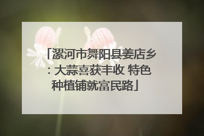 漯河市舞阳县姜店乡：大蒜喜获丰收 特色种植铺就富民路