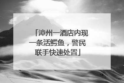 漳州一酒店内现一条活鳄鱼，警民联手快速处置