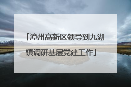 漳州高新区领导到九湖镇调研基层党建工作