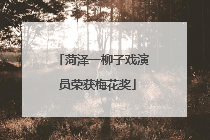 菏泽一柳子戏演员荣获梅花奖