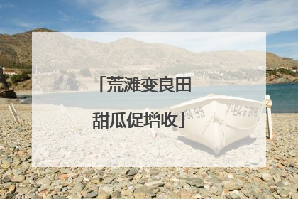 荒滩变良田 甜瓜促增收