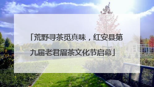 荒野寻茶觅真味，红安县第九届老君眉茶文化节启幕