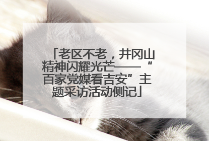 老区不老，井冈山精神闪耀光芒——“百家党媒看吉安”主题采访活动侧记