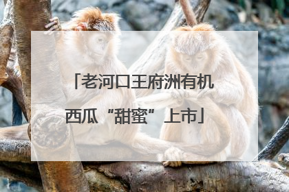 老河口王府洲有机西瓜“甜蜜”上市
