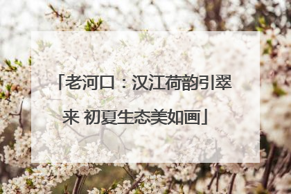 老河口：汉江荷韵引翠来 初夏生态美如画