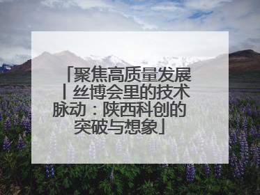 聚焦高质量发展丨丝博会里的技术脉动：陕西科创的突破与想象
