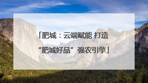 肥城：云端赋能 打造“肥城好品”强农引擎