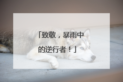 致敬，暴雨中的逆行者！
