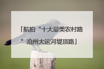 航拍“十大最美农村路”沧州大运河堤顶路
