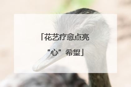 花艺疗愈点亮“心”希望