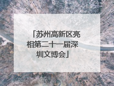 苏州高新区亮相第二十一届深圳文博会