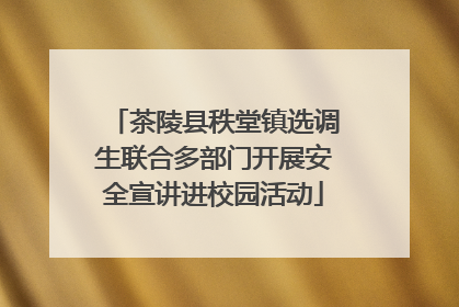 茶陵县秩堂镇选调生联合多部门开展安全宣讲进校园活动