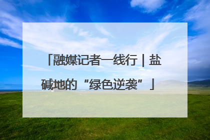 融媒记者一线行｜盐碱地的“绿色逆袭”