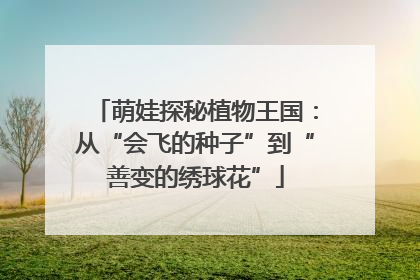 萌娃探秘植物王国：从“会飞的种子”到“善变的绣球花”