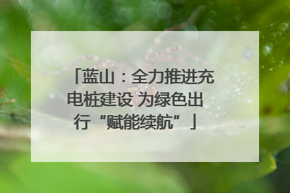 蓝山：全力推进充电桩建设 为绿色出行“赋能续航”