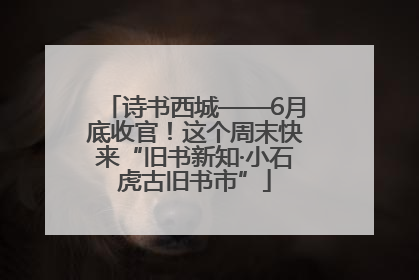 诗书西城——6月底收官！这个周末快来“旧书新知·小石虎古旧书市”