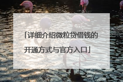 详细介绍微粒贷借钱的开通方式与官方入口