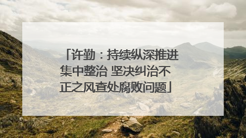许勤：持续纵深推进集中整治 坚决纠治不正之风查处腐败问题