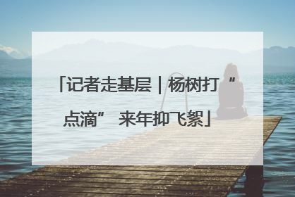 记者走基层｜杨树打“点滴” 来年抑飞絮