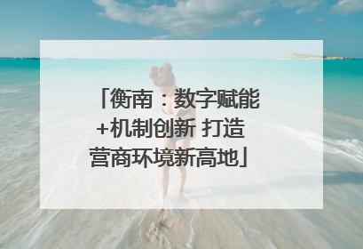 衡南：数字赋能+机制创新 打造营商环境新高地