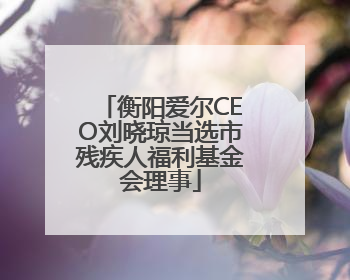衡阳爱尔CEO刘晓琼当选市残疾人福利基金会理事