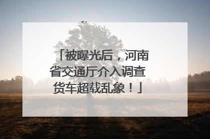 被曝光后，河南省交通厅介入调查货车超载乱象！