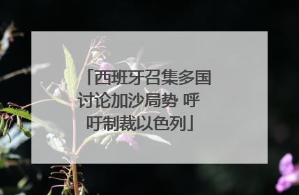 西班牙召集多国讨论加沙局势 呼吁制裁以色列