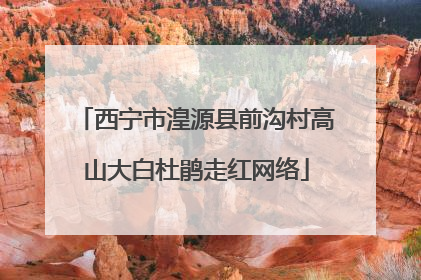 西宁市湟源县前沟村高山大白杜鹃走红网络